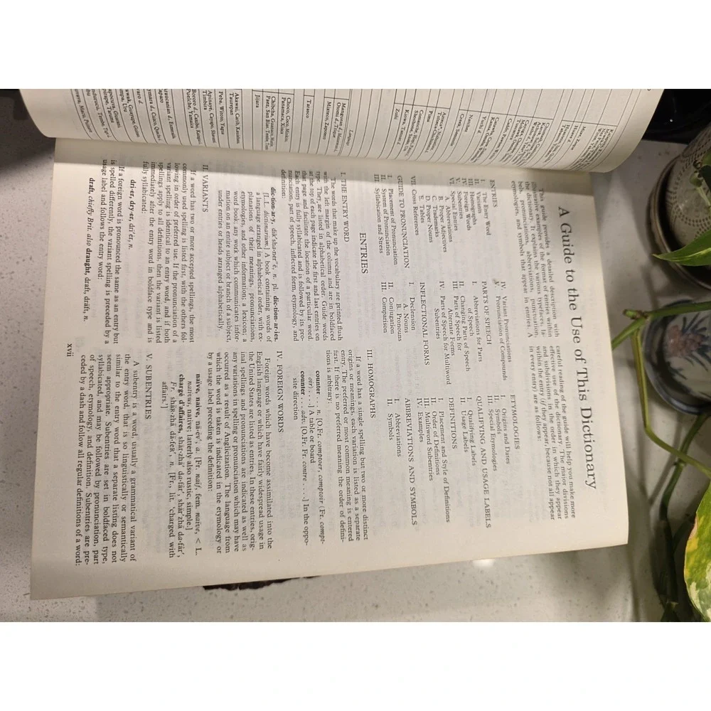 The Living Webster Encyclopedic Dictionary of the English Language 1981 VTG HC